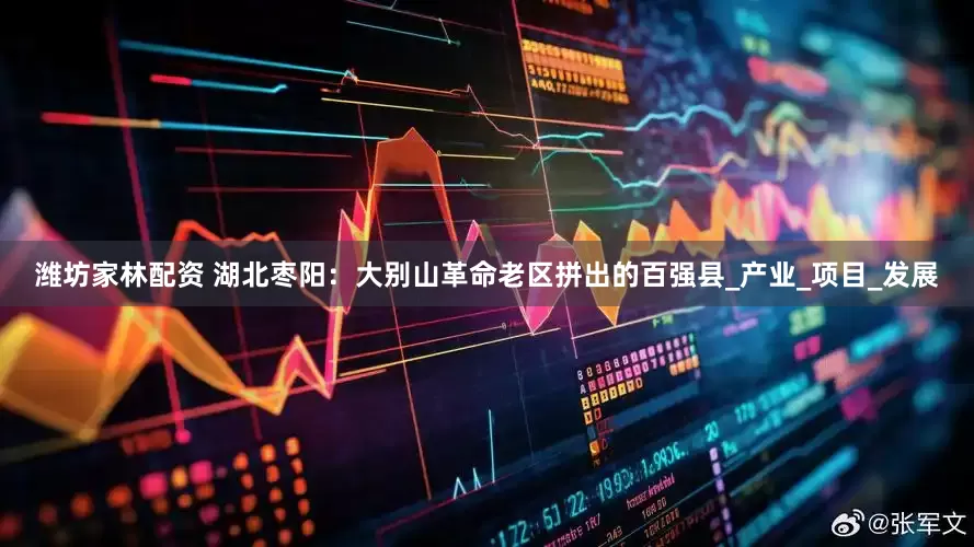 潍坊家林配资 湖北枣阳：大别山革命老区拼出的百强县_产业_项目_发展