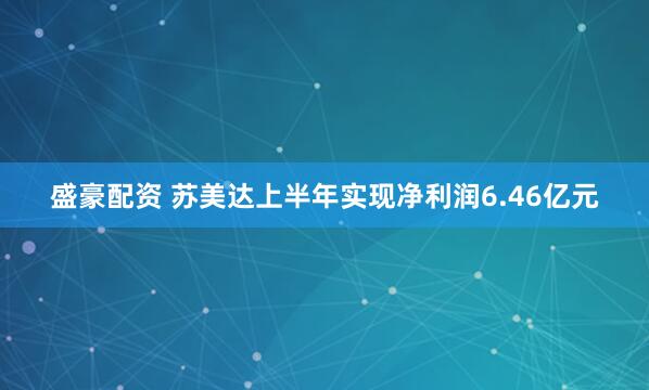 盛豪配资 苏美达上半年实现净利润6.46亿元