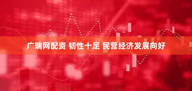 广瑞网配资 韧性十足 民营经济发展向好