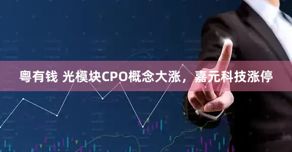 粤有钱 光模块CPO概念大涨，嘉元科技涨停
